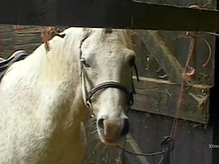 Räpane metsik täiskasvanud film sisse a barn jaoks üleannetu farmis tüdrukud