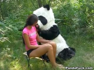 ผู้ใหญ่ คลิป ใน the ป่า ด้วย a มหาศาล ของเล่น panda