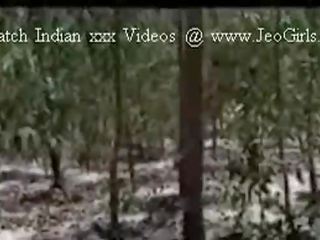 ジャングル 大人 ビデオ